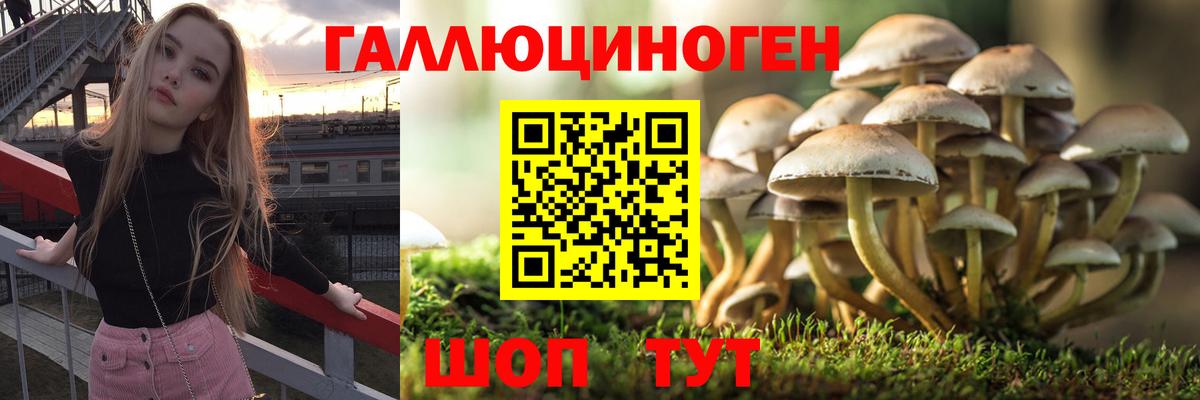 Галлюциногенные грибы прущие грибы  Вход с VPN  Протвино 